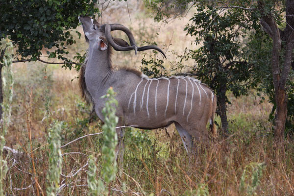 Kora National Park