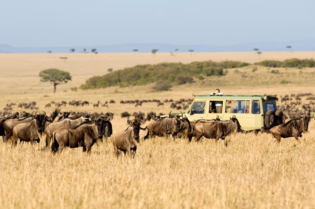 Mara Naboisho Conservancy