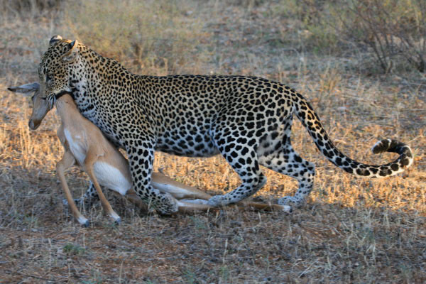 Marsabit National Park