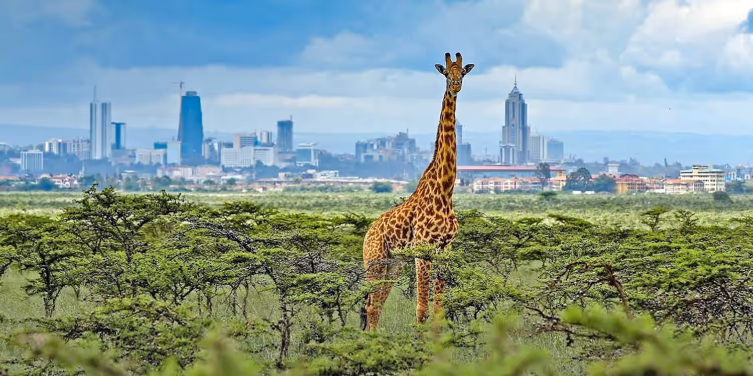 Nairobi National Park