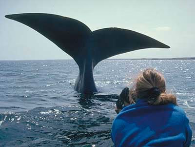 Garden Route National Park – Wilderness Section