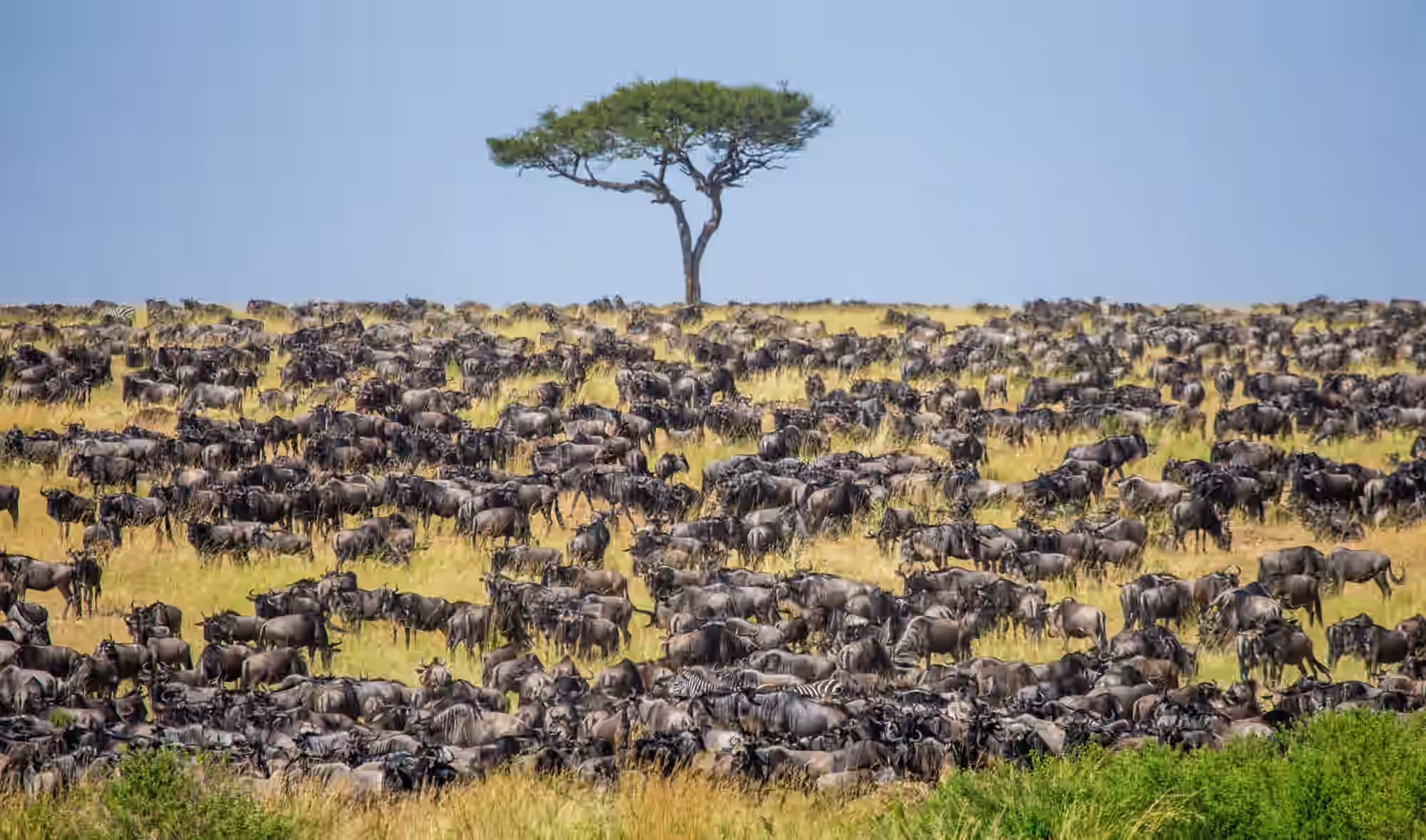 Serengeti National Park