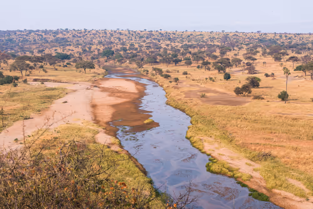 Tarangire National Park Gallery Image 3