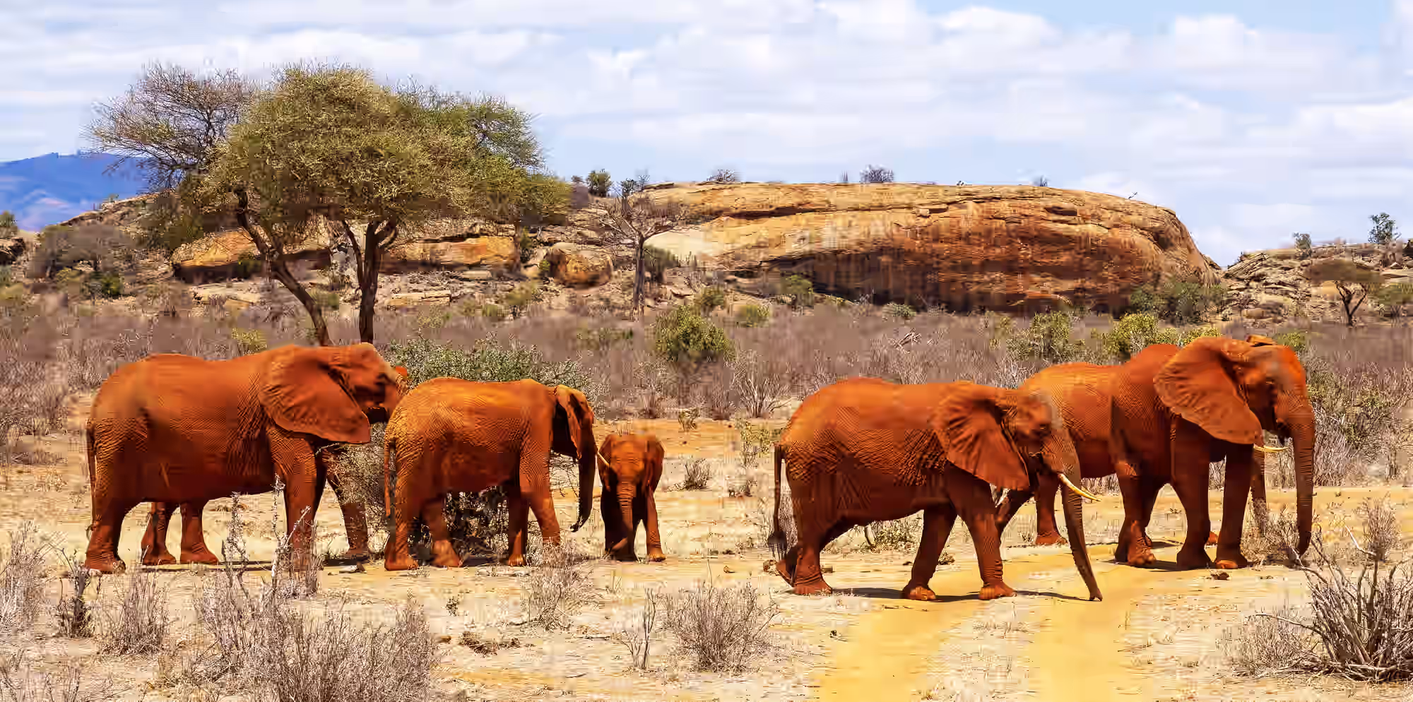 Tsavo West National Park