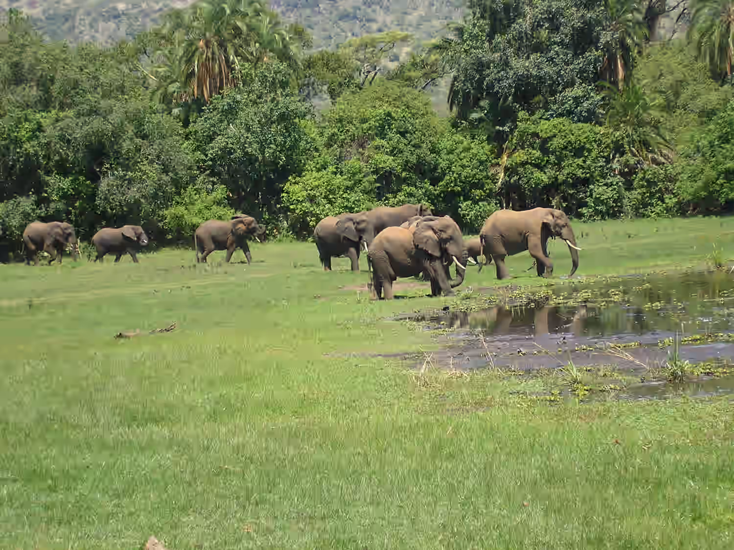Akagera National Park