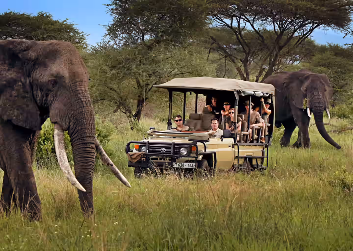 Safari Destinations Hero
