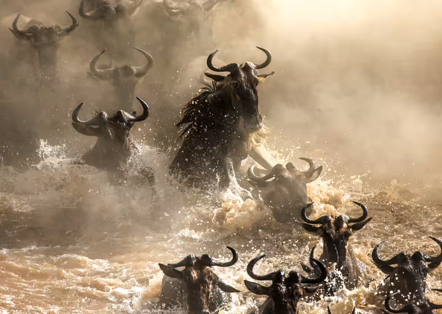 Legendary Safari Masterpieces