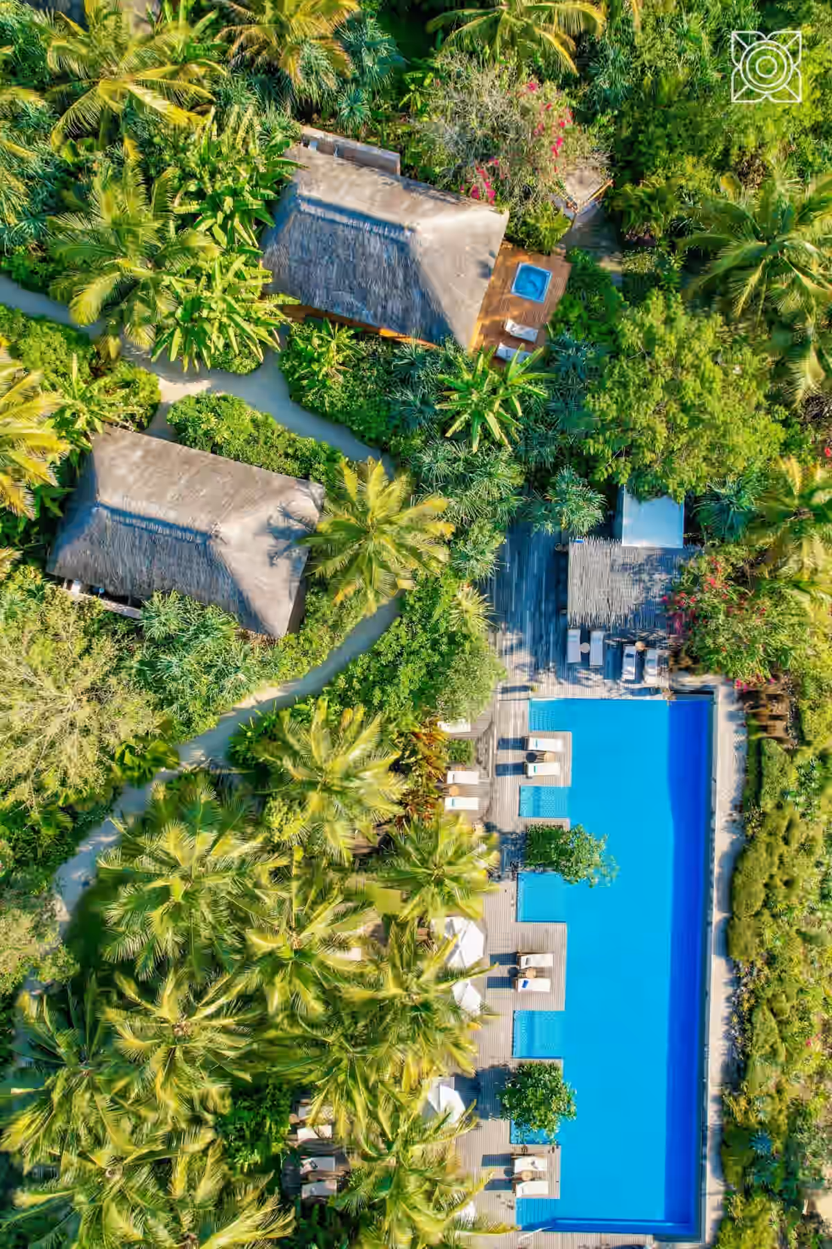 Ultra-Luxury Kenya Safari & Zanzibar Holiday — Private Great Migration, Five-Star Lodges & Exclusive Island Retreat - Gallery Image 5