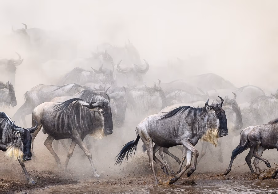 AN EXTRAORDINARY JOURNEY THROUGH EAST AFRICA - Gallery Image 7