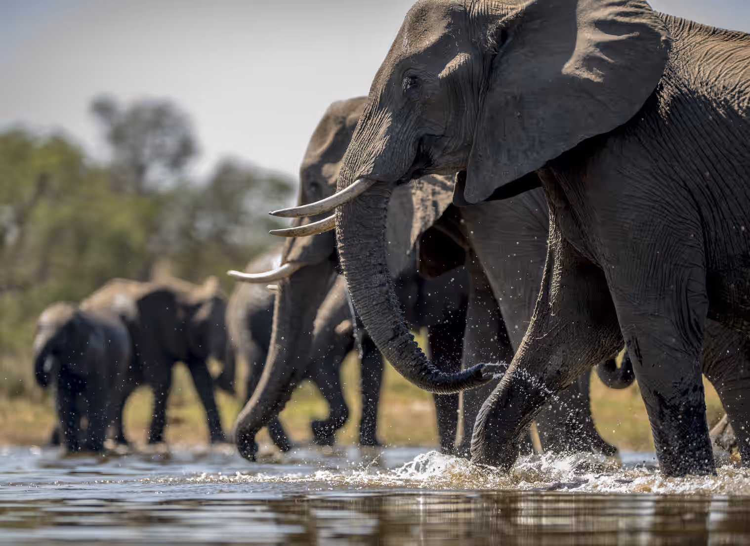 AN EXTRAORDINARY JOURNEY THROUGH EAST AFRICA