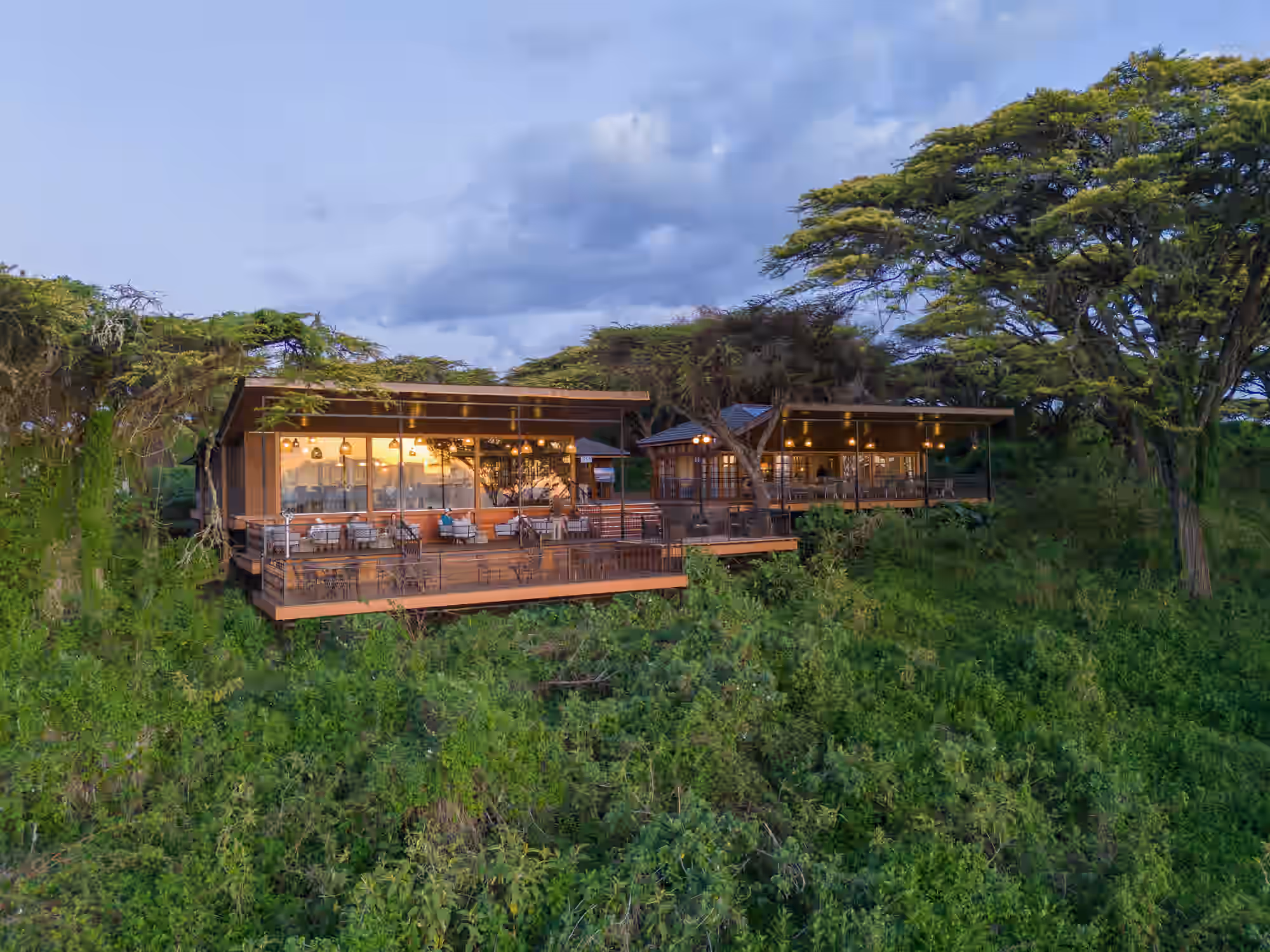 Nature's Greatest Theatre — The Great Migration, Northern Serengeti