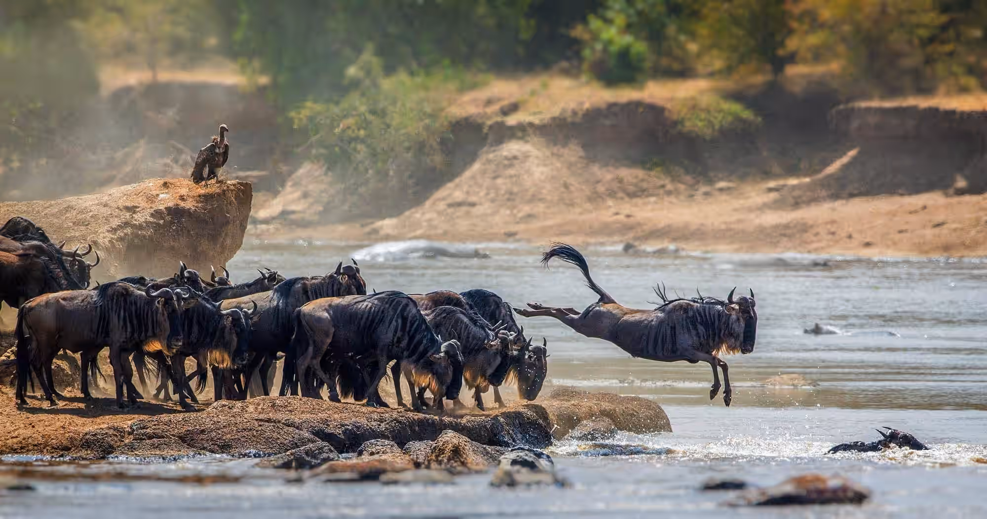 Bespoke Great Migration Safari 2027 | Tanzania