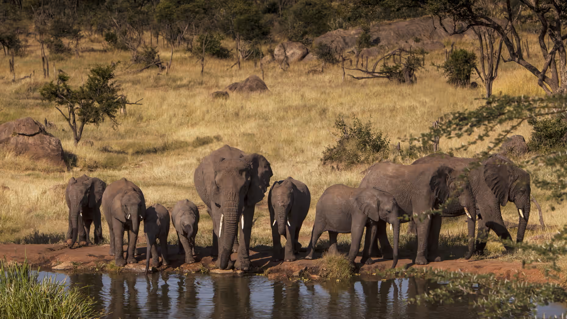 The Land of Giants & Baobabs